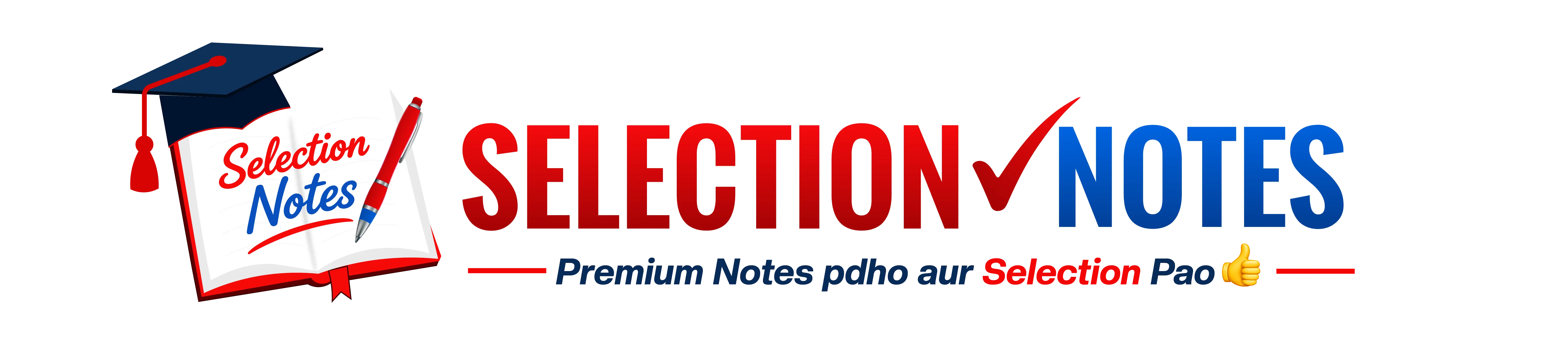 Selection Notes — Logo & Brand Identity